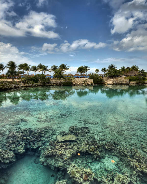Hdr Poster featuring the photograph Chankanaab Lagoon by Brad Granger