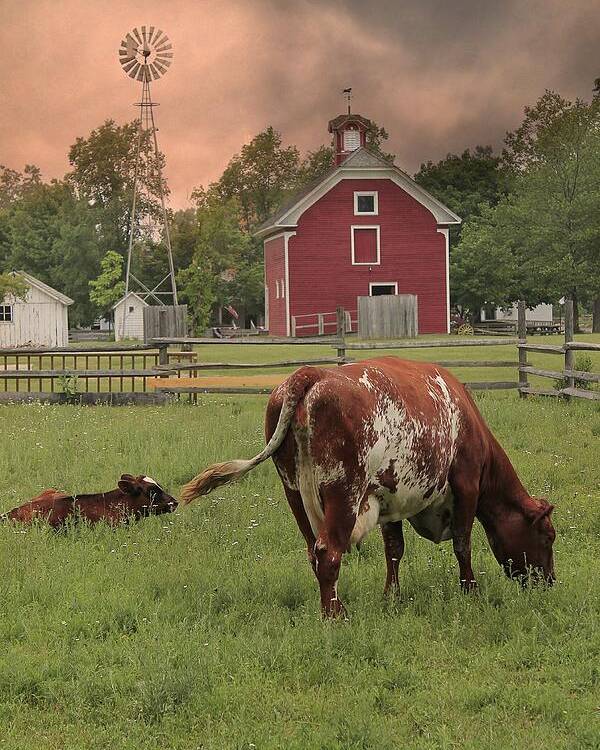 Hovind Poster featuring the photograph Dairy Farm by Scott Hovind