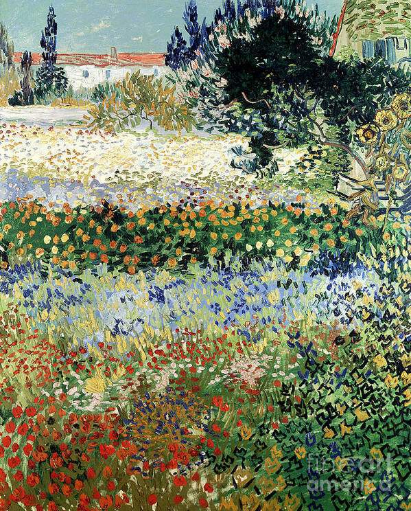 Garden In Bloom Poster featuring the painting Garden in Bloom by Vincent Van Gogh