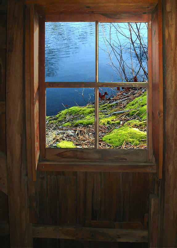 Window Poster featuring the photograph Through My Window by Cathy Kovarik