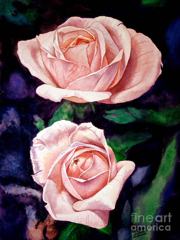 Rose Poster featuring the painting Two Roses by Christopher Shellhammer