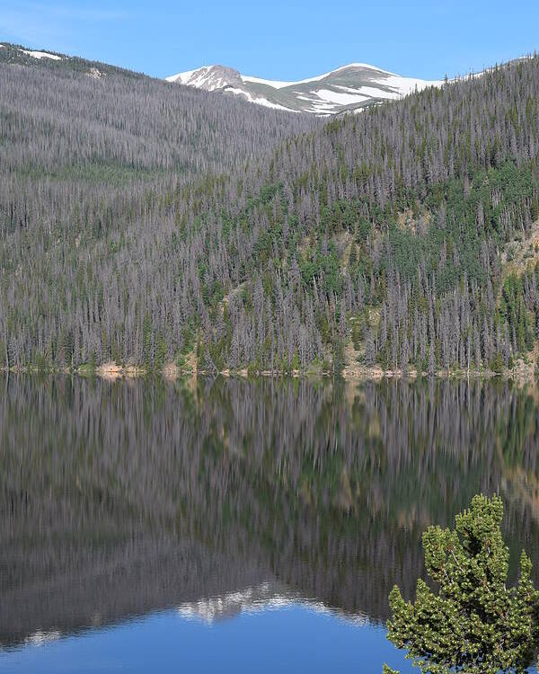 Mountains Poster featuring the photograph Chambers Lake Reflection Hwy 14 CO by Margarethe Binkley