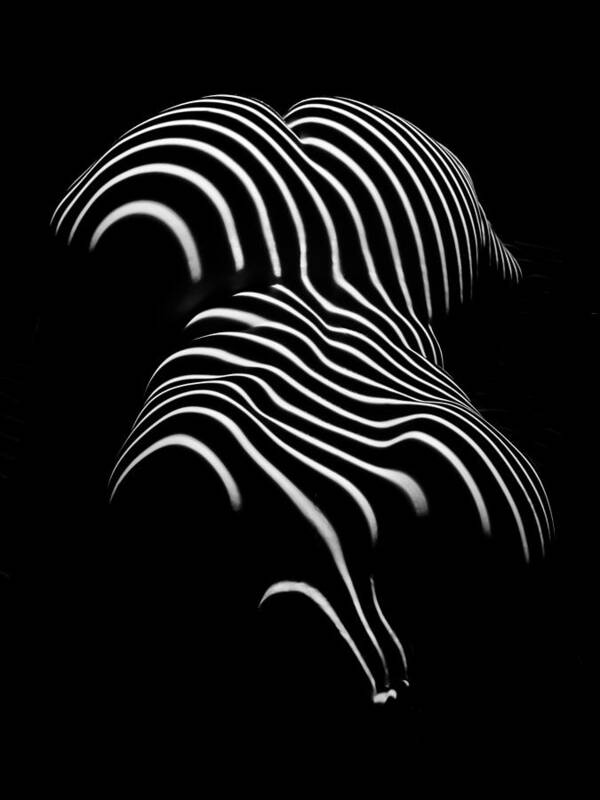 0721-AR Black and White Fine Art Nude Abstract Big Woman BBW Poster by Chris Maher pic