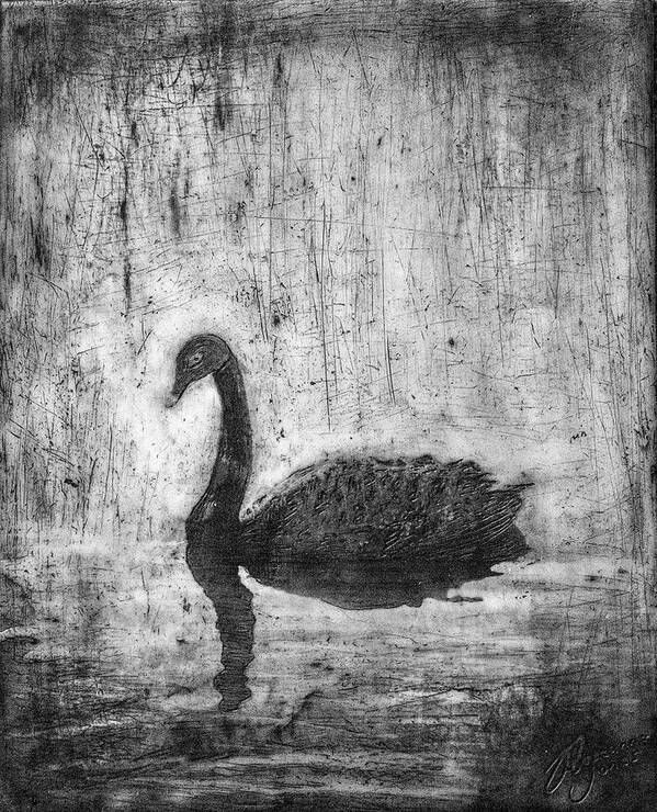 Swan Poster featuring the mixed media Black Swan by Roseanne Jones