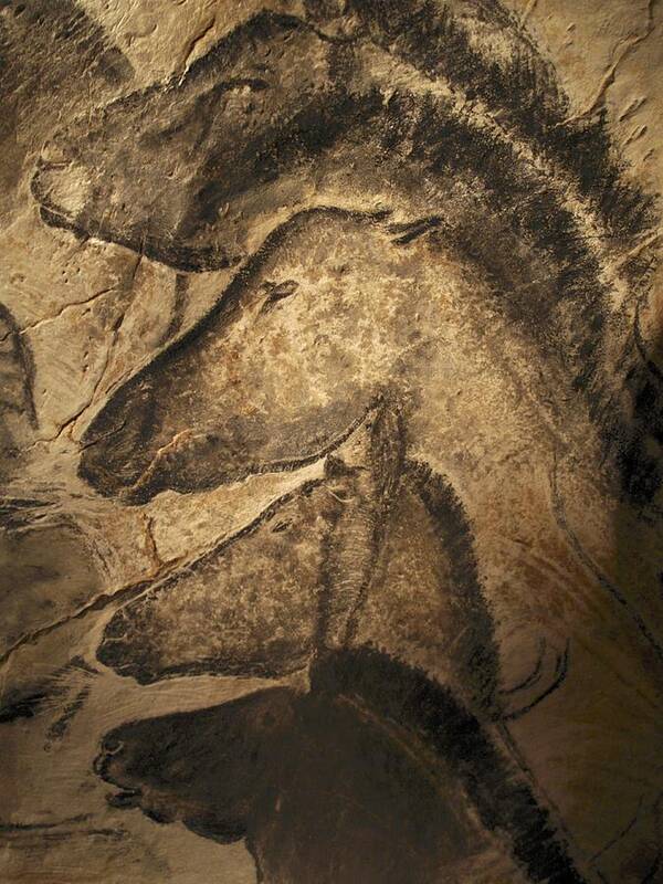 Animal Poster featuring the photograph Stone-age Cave Paintings, Chauvet, France by Javier Truebamsf