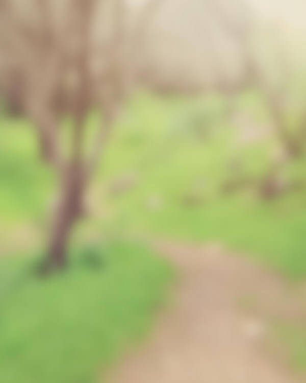 Blurred Nature Background With Instagram Style Filter Poster By Brandon Bourdages