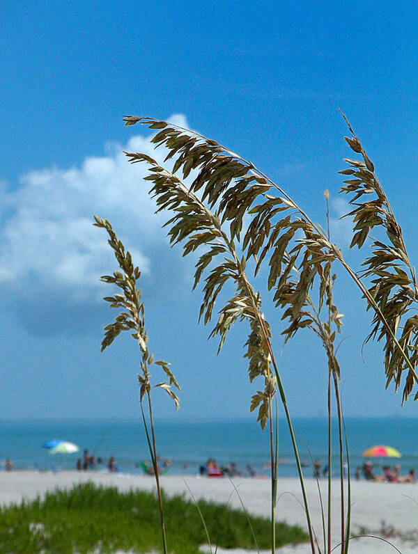 Beach Poster featuring the photograph A Day at The Beach - Cocoa Beach FL by Frank Mari