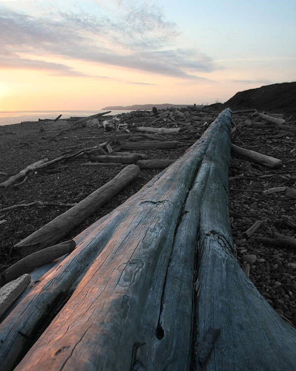 Admiralty Log Poster featuring the photograph Admiralty Log by Dylan Punke