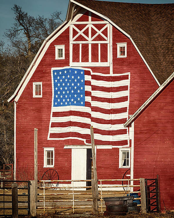 Barn Poster featuring the photograph American Pride by Susan Rissi Tregoning