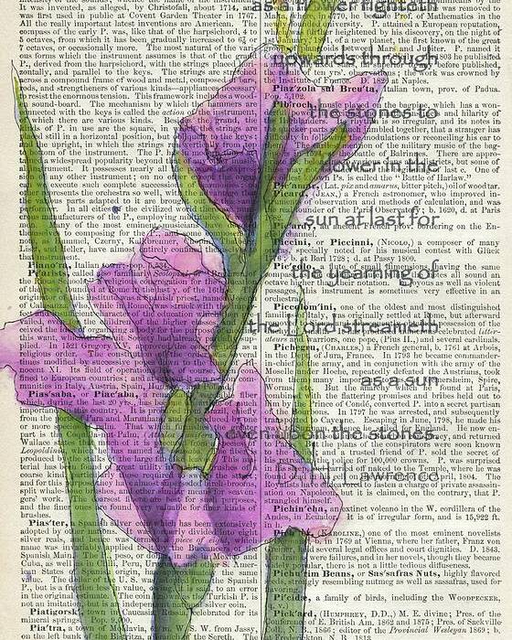 Gladiolus Poster featuring the painting At Last In the Sunlight 2 by Maria Hunt
