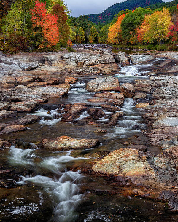 Ausable River Jay Ny Poster featuring the photograph Ausable by Mark Papke
