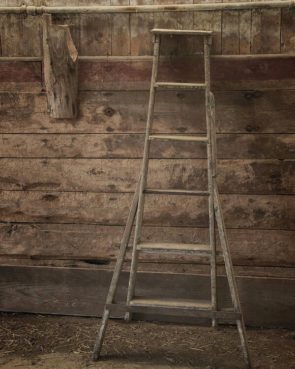 Scott Farm Vermont Poster featuring the photograph Barn Ladder by Tom Singleton