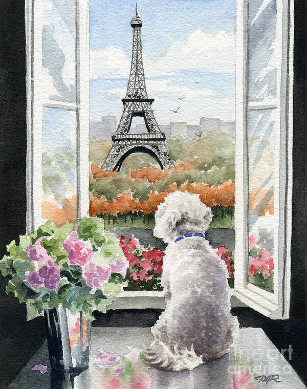 Bichon Poster featuring the painting Bichon Frise In Paris by David Rogers
