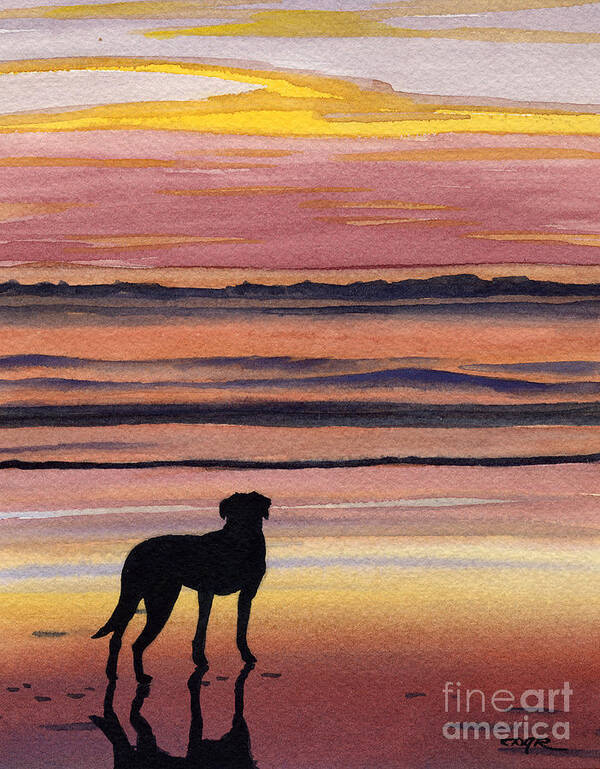 Black Lab Poster featuring the painting Black Lab Sunset by David Rogers