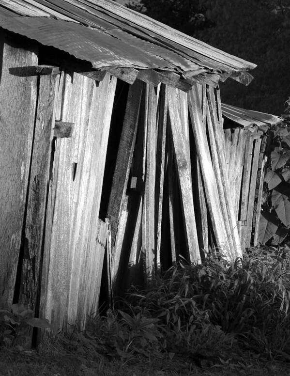 Ansel Adams Poster featuring the photograph Blackburn-barn by Curtis J Neeley Jr