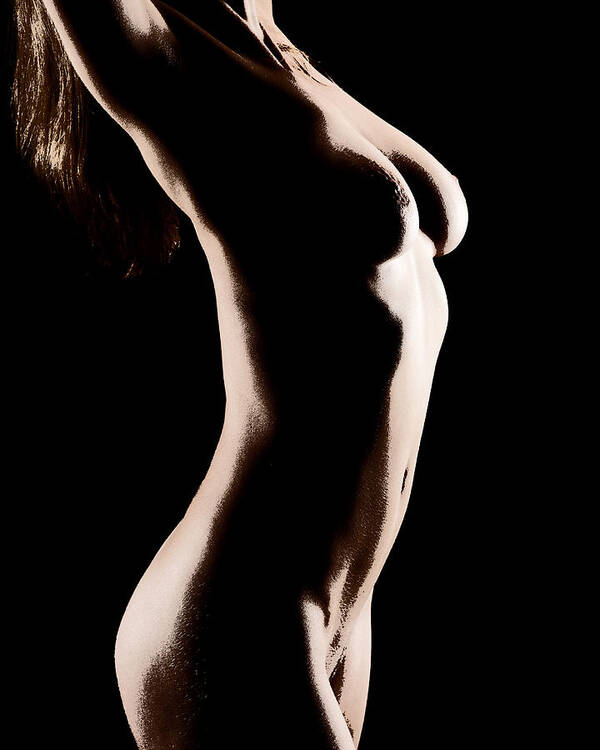 Nude Poster featuring the photograph Bodyscape 542 by Michael Fryd
