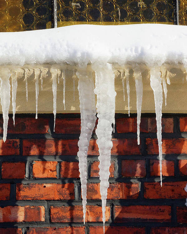 Icicles. Snow Poster featuring the photograph Brrrrr by Cate Franklyn