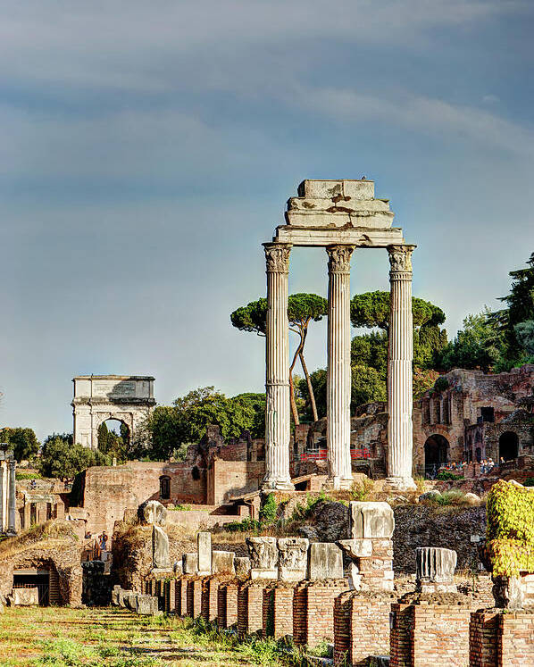 Forum Poster featuring the photograph Castor Pollux and Titus by Weston Westmoreland