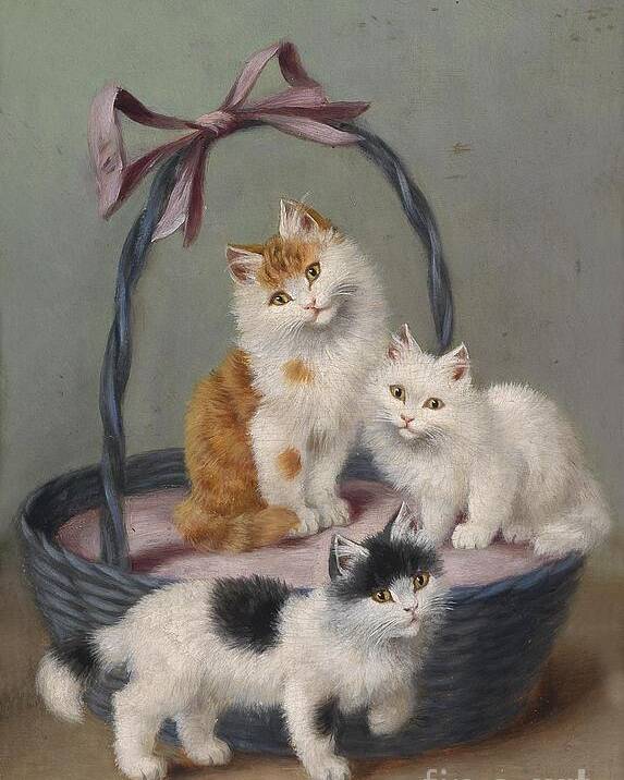 Sophie Sperlich Poster featuring the painting Cats in the basket by MotionAge Designs