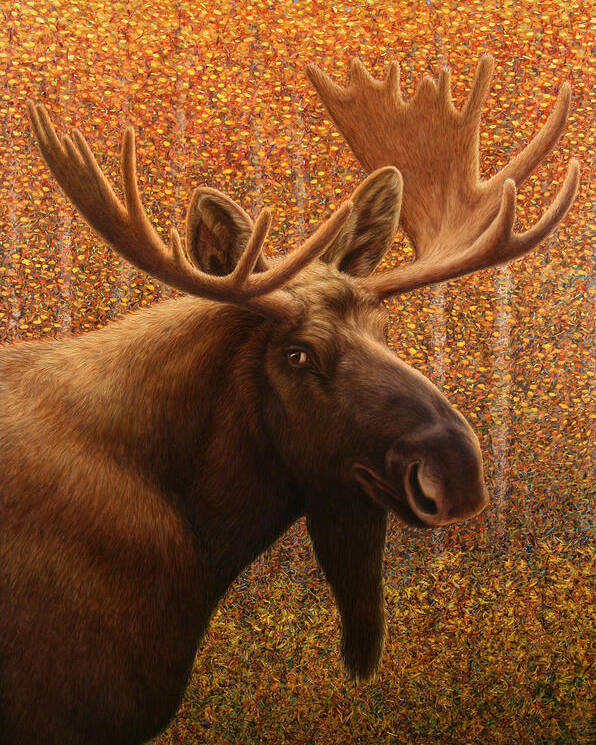 Moose Poster featuring the painting Colorado Moose by James W Johnson