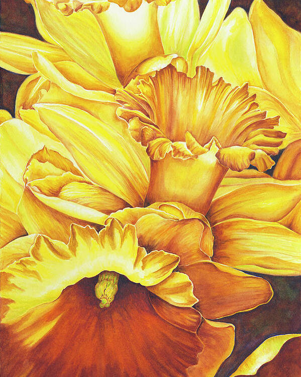 Floral Poster featuring the painting Daffodil Drama by Lori Taylor