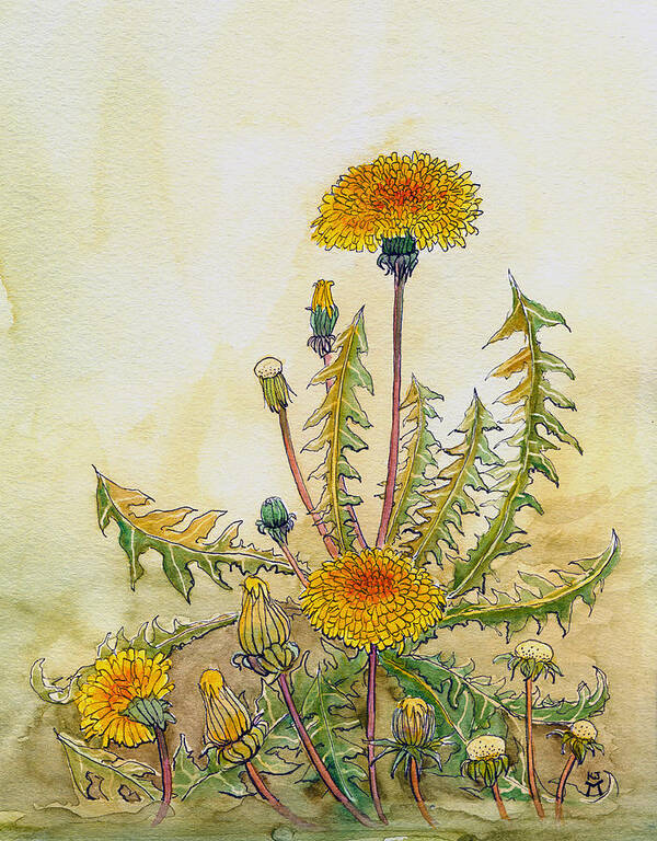 Dandelions Poster featuring the painting Dandelions by Katherine Miller
