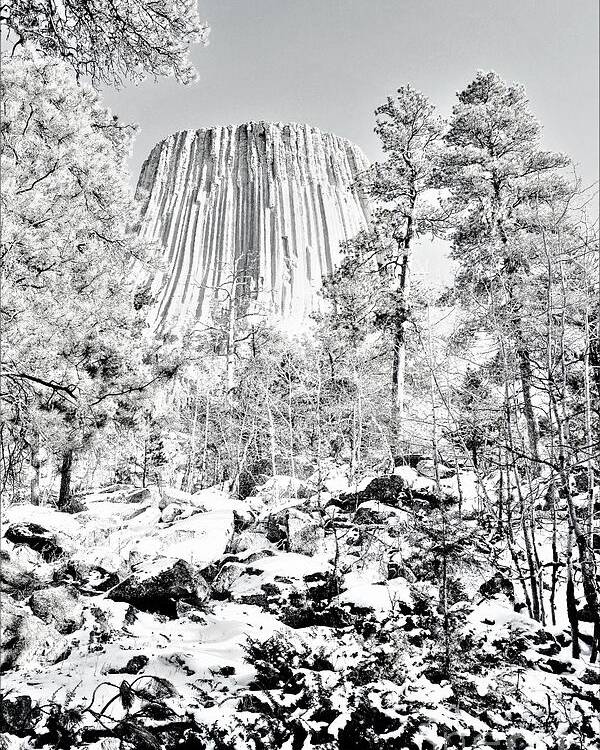Devils Tower Poster featuring the photograph Devils Tower Wyoming by Merle Grenz