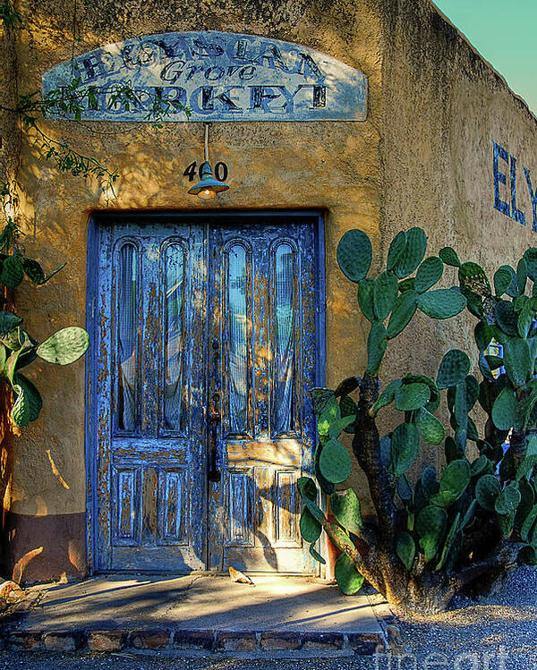Door Poster featuring the photograph Elysian Grove In The Morning by Lois Bryan