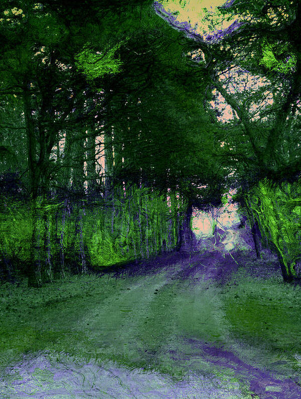 Wooded Path Poster featuring the photograph Enchanted Way by Julie Lueders 