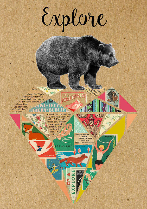 Explore Poster featuring the mixed media Explore Bear by Claudia Schoen