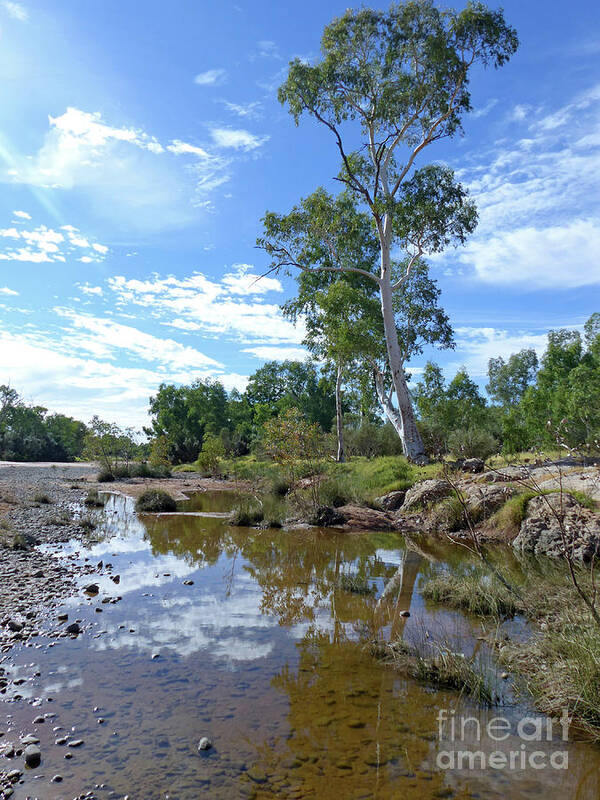 Finke River Poster featuring the photograph Finke River - Northern Territory - Australia by Phil Banks