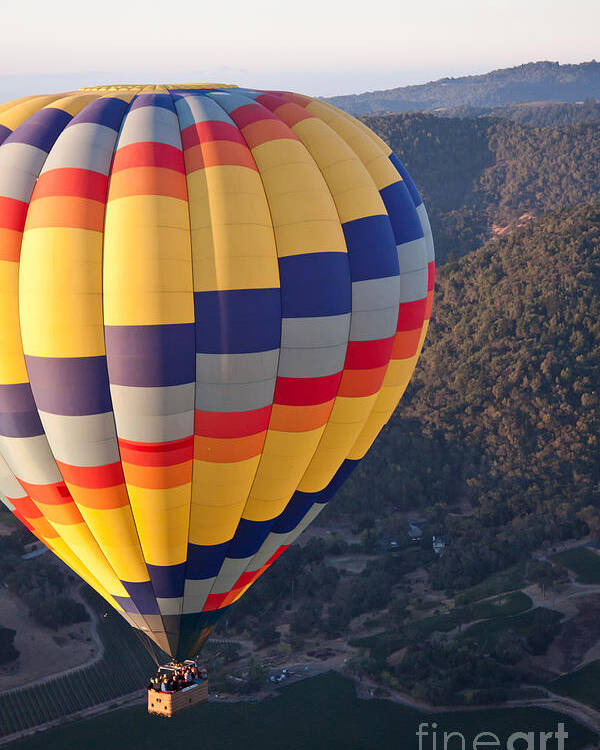 Hot Air Balloon Poster featuring the photograph Floating Balloon by Ana V Ramirez