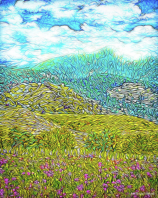 Joelbrucewallach Poster featuring the digital art Flowing Mountains - Meadow In Boulder County Colorado by Joel Bruce Wallach