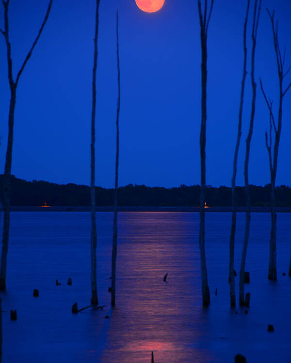 Full Moon Rises 2 Poster featuring the photograph Full Moon Rises 2 by Raymond Salani III