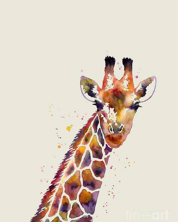 Giraffe Poster featuring the painting Giraffe by Hailey E Herrera