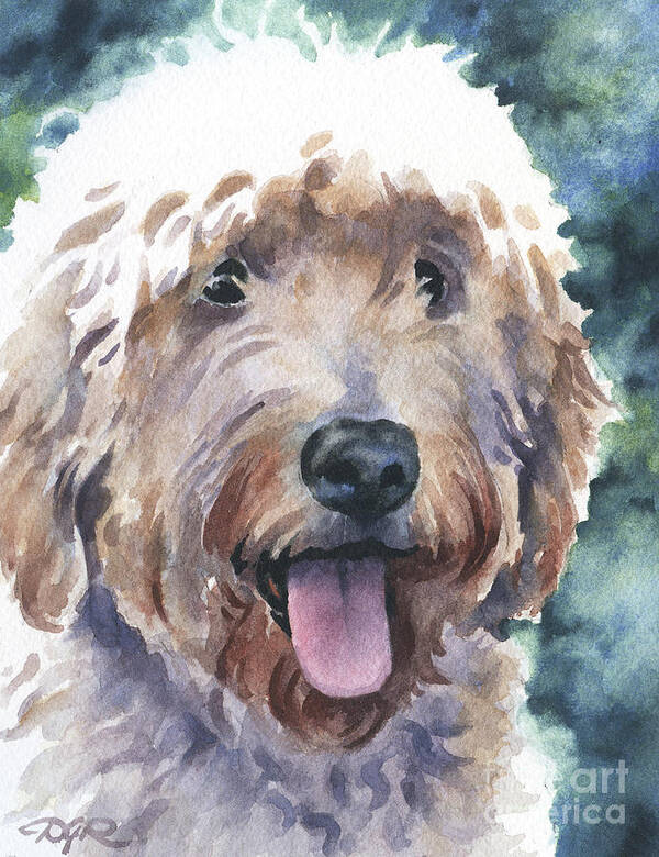 Goldendoodle Poster featuring the painting Goldendoodle by David Rogers
