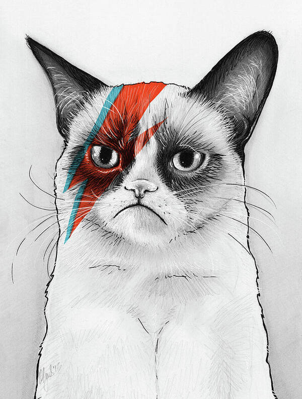 Grumpy Cat Poster featuring the drawing Grumpy Cat as David Bowie by Olga Shvartsur