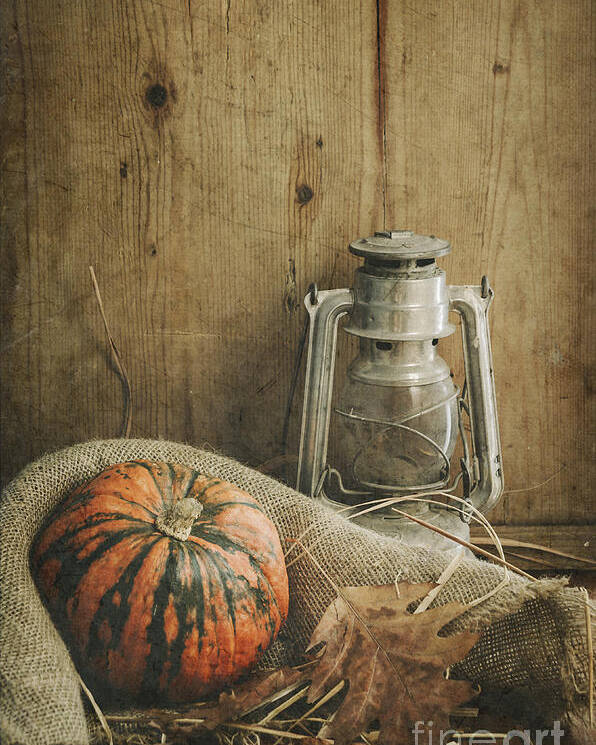 Life Poster featuring the photograph Halloween Compositin by Jelena Jovanovic