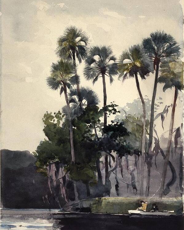 Winslow Homer (american Poster featuring the painting Homosassa River by MotionAge Designs