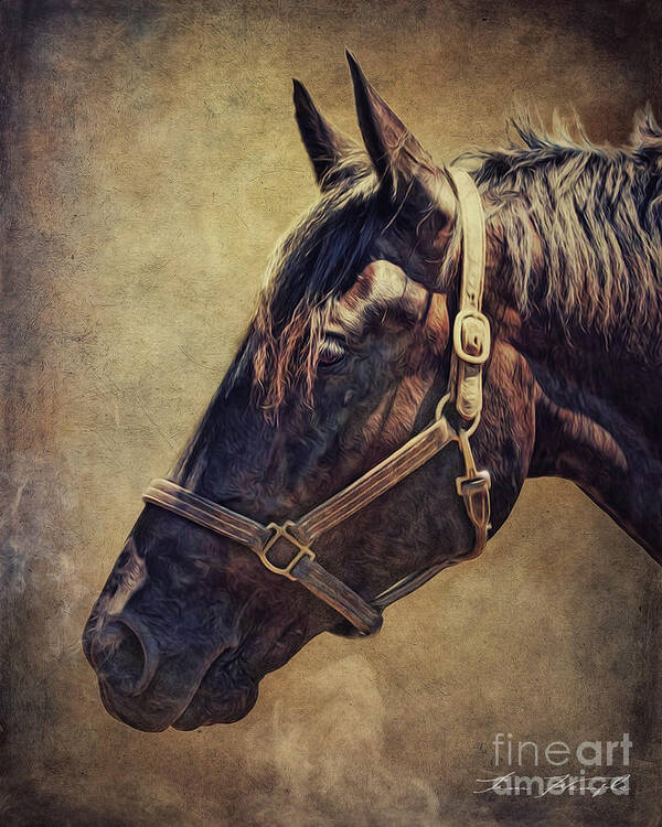 Horse Poster featuring the digital art Horse 1 by Tim Wemple