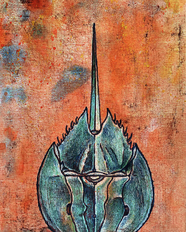 Horseshoe Crab Poster featuring the mixed media Horseshoe Crab No.3 by AnneMarie Welsh