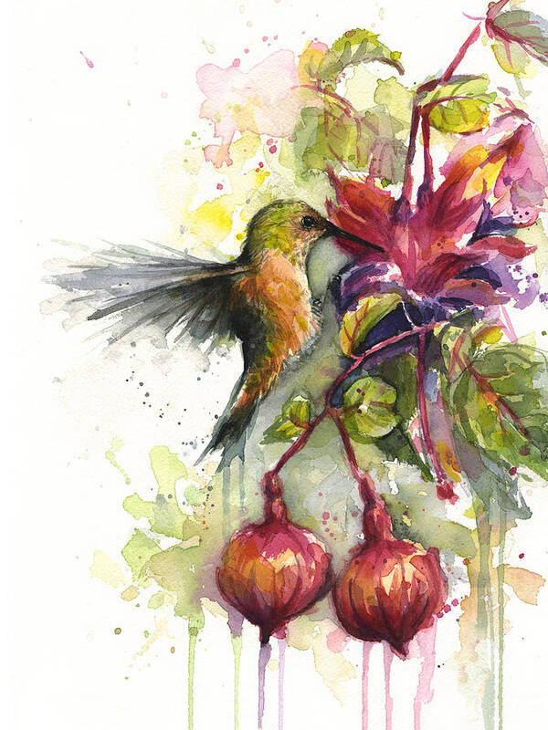 Hummingbird Poster featuring the painting Hummingbird and Fuchsia by Olga Shvartsur