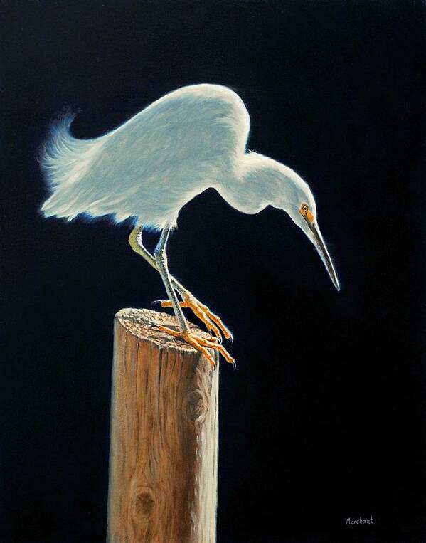 Egret Poster featuring the painting Interlude - Snowy Egret by Linda Merchant