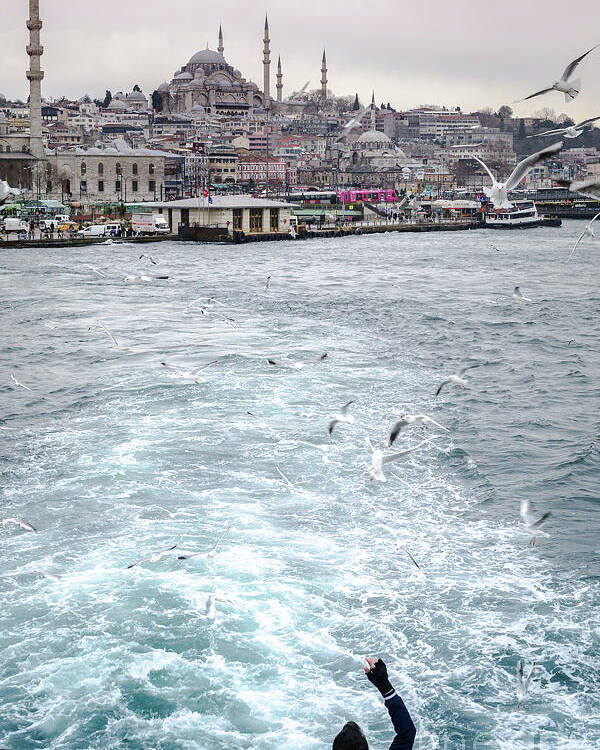 Birds Poster featuring the photograph Istanbul to Kadikoy, Ferry Ride on the Golden Horn by Perry Rodriguez