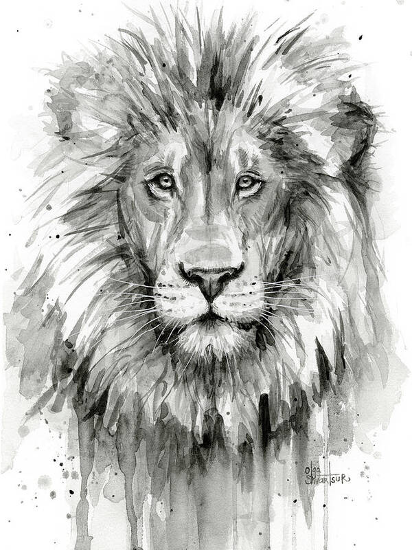 Lion Poster featuring the painting Lion Watercolor by Olga Shvartsur