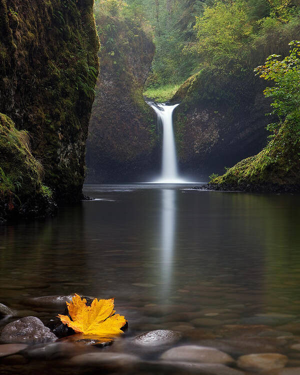 Waterfall Poster featuring the photograph Lonely by Miles Morgan