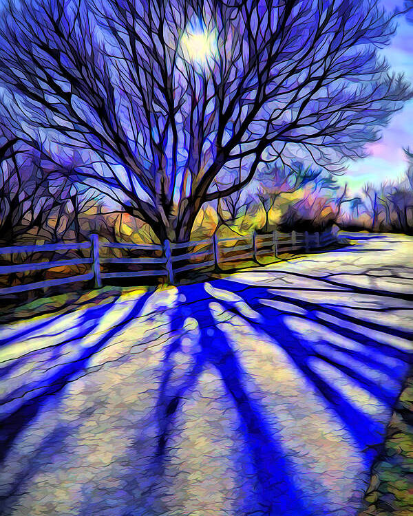 Colorful Tree Poster featuring the digital art Long afternoon shadows by Lilia D