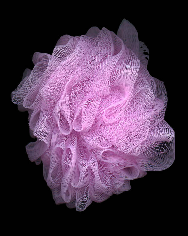 Loofah Poster featuring the photograph Loofah I by Tom Mc Nemar