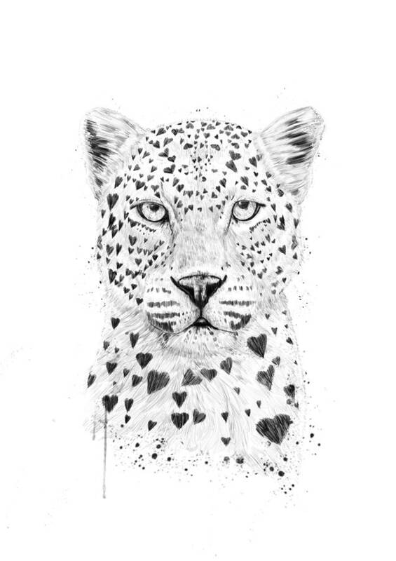 Leopard Poster featuring the drawing Lovely leopard by Balazs Solti