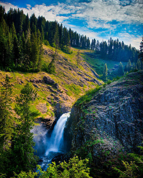  Poster featuring the photograph Lower Falls - Elk Creek Falls by Rikk Flohr